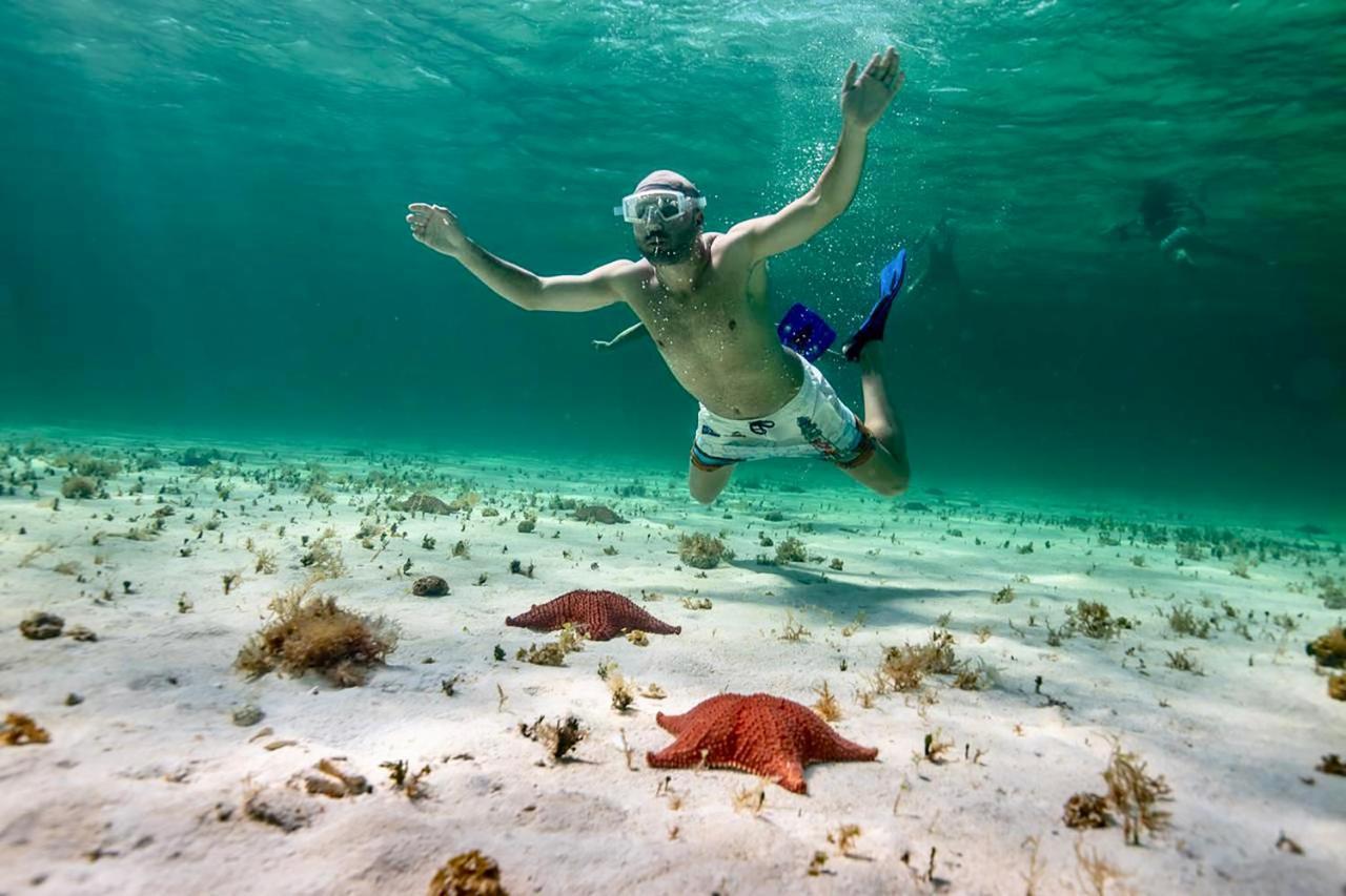 Albatros By Bedsfriends (Adults Only) Hotel Cozumel Exterior foto